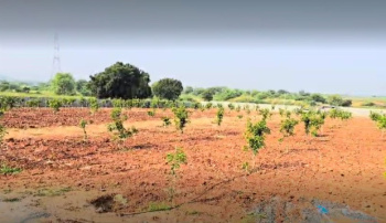  Agricultural Land for Sale in Ulindakonda, Kurnool