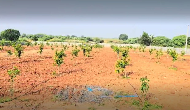  Agricultural Land 5500 Sq.ft. for Sale in Ulindakonda, Kurnool