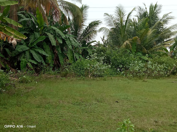  Agricultural Land for Sale in Nasiyanur, Erode