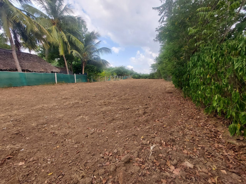  Residential Plot 12960 Sq.ft. for Sale in Kumbakonam, Thanjavur