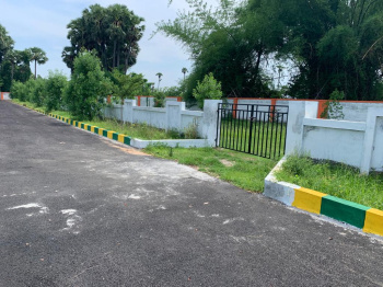  Residential Plot for Sale in Vizianagaram, Visakhapatnam