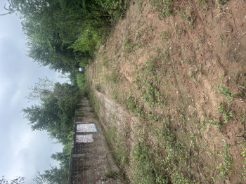  Residential Plot for Sale in Naubatpur, Patna