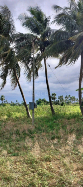 Residential Plot 178 Cent for Sale in Surandai, Tirunelveli