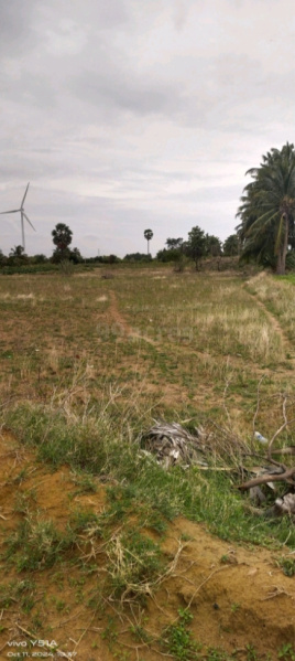  Residential Plot 178 Cent for Sale in Surandai, Tirunelveli