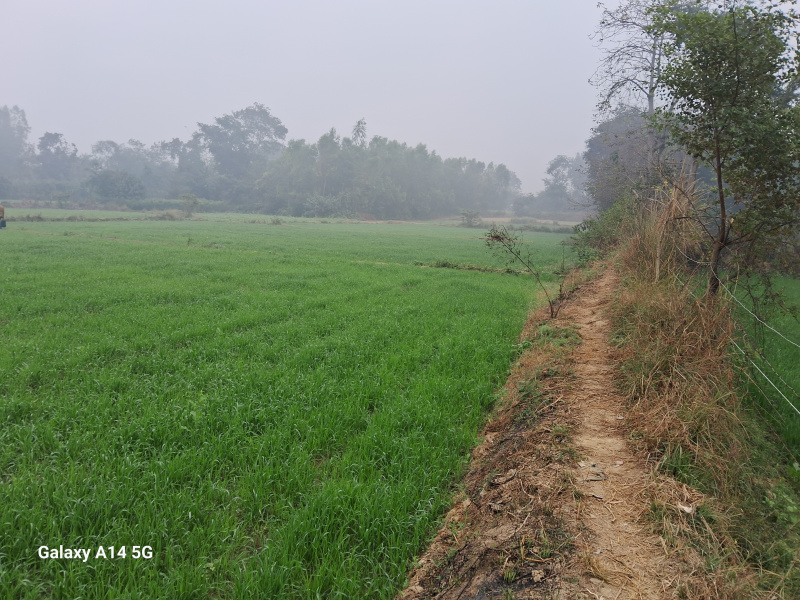  Agricultural Land 4 Bigha for Sale in Qaziyara, Sitapur