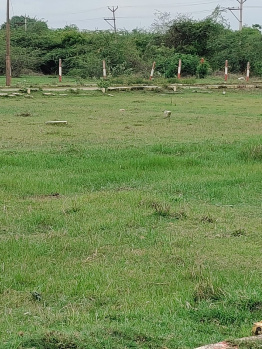  Residential Plot for Sale in Maduranthakam, Chengalpattu