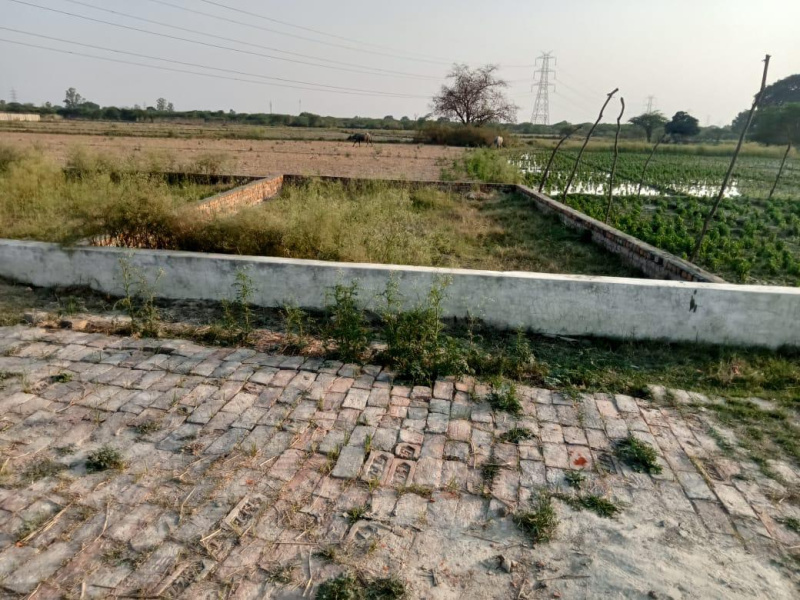  Residential Plot 1000 Sq.ft. for Sale in Bakshi Ka Talab, Lucknow