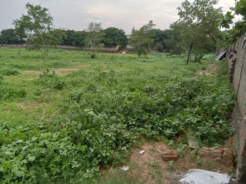  Residential Plot 10165 Sq. Yards for Sale in Ajmer Road, Ajmer Road, Jaipur