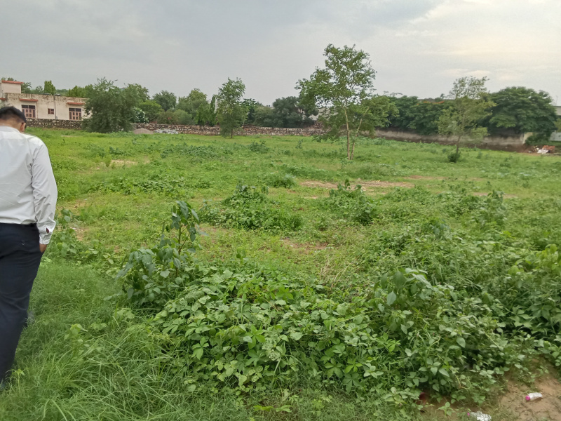  Residential Plot 10165 Sq. Yards for Sale in Ajmer Road, Ajmer Road, Jaipur