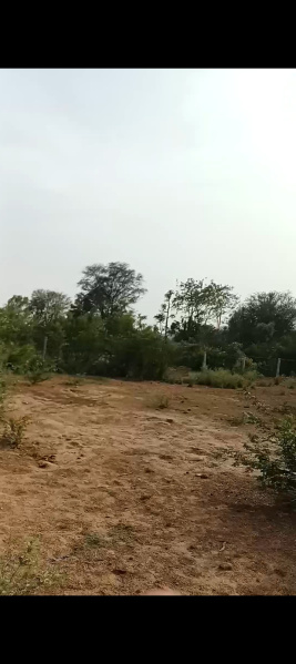  Agricultural Land 10 Bigha for Sale in Delhi Road, Jaipur
