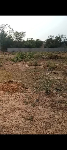  Agricultural Land 10 Bigha for Sale in Delhi Road, Jaipur