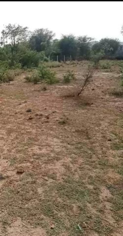  Agricultural Land 10 Bigha for Sale in Delhi Road, Jaipur