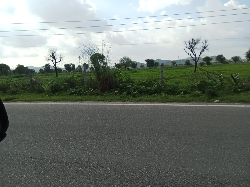  Agricultural Land 45 Bigha for Sale in Delhi Road, Jaipur