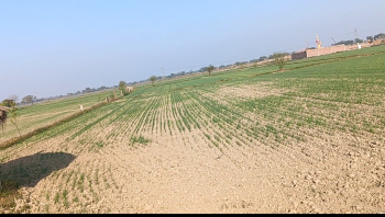  Agricultural Land for Sale in Goverdhan Road, Mathura