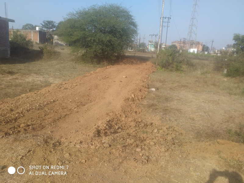  Residential Plot 1650 Sq.ft. for Sale in Beohari, Shahdol