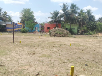  Residential Plot for Sale in Potheri, Chennai