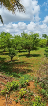  Commercial Land for Sale in Mandaiyur, Tiruchirappalli