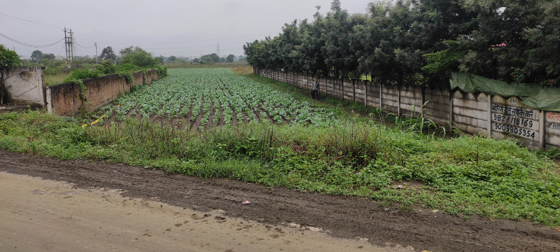  Industrial Land 130000 Sq.ft. for Rent in Bijalpur, Indore