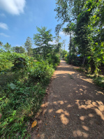 Residential Plot for Sale in Sooranad North, Kollam