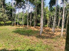 1 BHK Farm House for Sale in Habra, North 24 Parganas