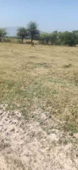  Agricultural Land for Sale in Polur, Tiruvannamalai