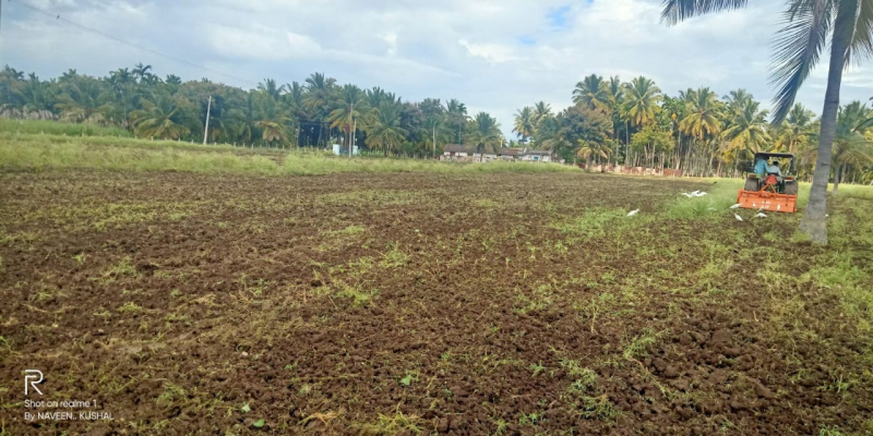  Agricultural Land 5 Acre for Sale in Santhamarahalli, Chamrajnagar