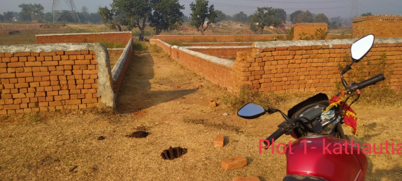  Residential Plot 1742 Sq.ft. for Sale in Kathautia, Chatra