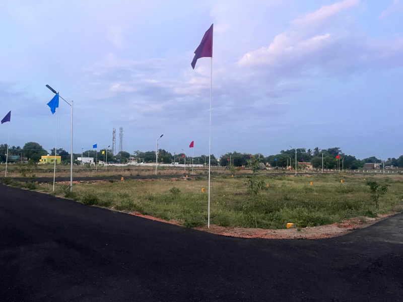  Residential Plot 1200 Sq.ft. for Sale in Thirumayam, Pudukkottai