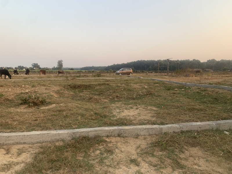  Residential Plot 166 Sq.ft. for Sale in Shimla Bypass, Dehradun