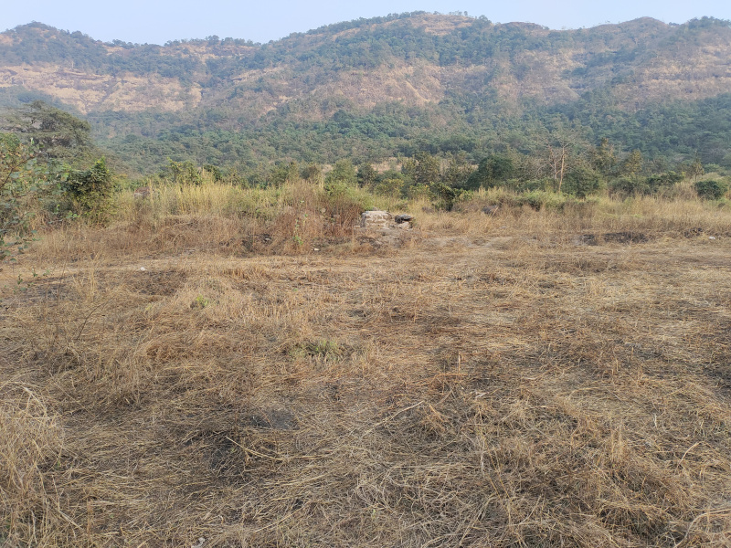  Agricultural Land 21780 Sq.ft. for Sale in Panvel, Navi Mumbai