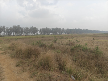  Agricultural Land for Sale in Hathin, Palwal