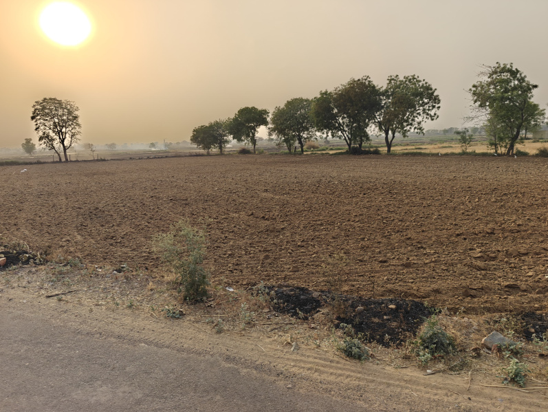  Agricultural Land 5 Acre for Sale in Kishorpur, Palwal