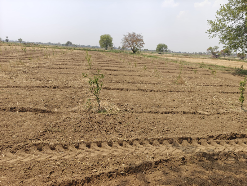  Agricultural Land 5 Acre for Sale in Kishorpur, Palwal