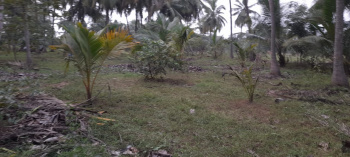  Agricultural Land for Sale in Marungulam, Thanjavur