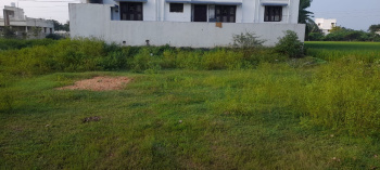  Residential Plot for Sale in Pattukkottai, Thanjavur