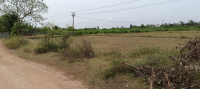 Agricultural Land for Sale in Kurungulam, Thanjavur