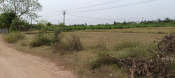  Agricultural Land for Sale in Kurungulam, Thanjavur