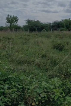  Residential Plot for Sale in Vallam, Thanjavur