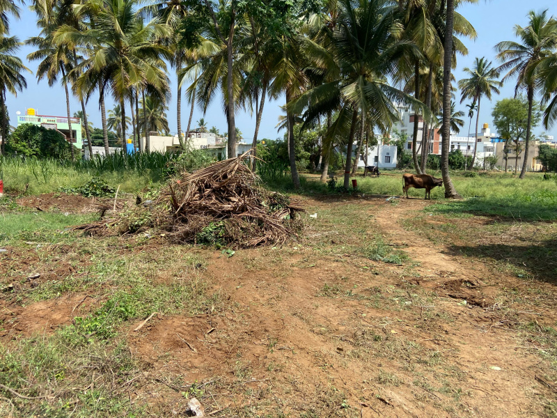  Agricultural Land 4356 Sq.ft. for Sale in Sathanur, Ramanagara, Bangalore