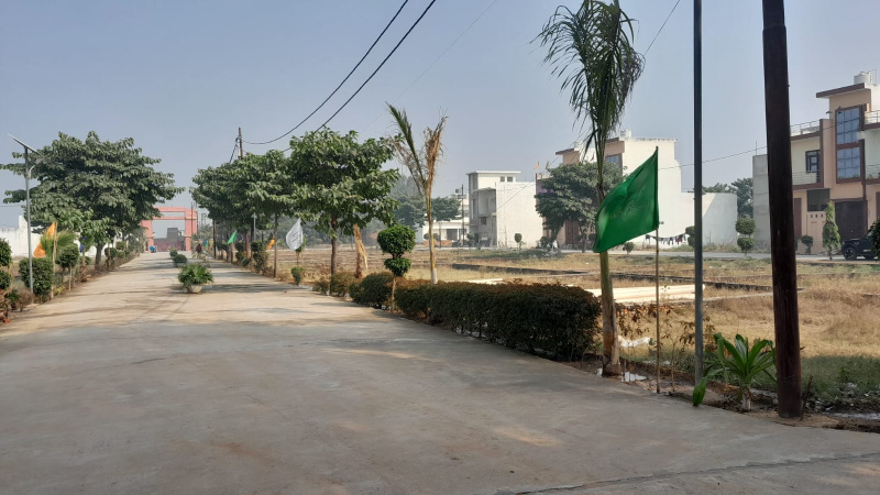  Residential Plot 100 Sq. Yards for Sale in Yamuna Expressway, Greater Noida