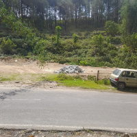  Commercial Land for Sale in Chimbalhar, Palampur