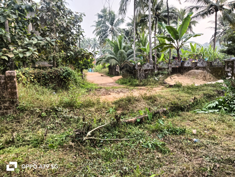  Residential Plot 267 Sq. Meter for Sale in Velhegave(Valhegao), Goa