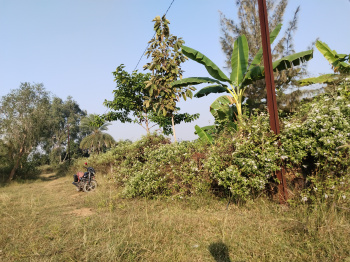  Residential Plot for Sale in Gopalpur, Berhampur