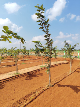  Agricultural Land for Sale in Melmaruvathur, Chennai
