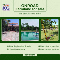  Agricultural Land for Sale in Tindivanam, Villupuram
