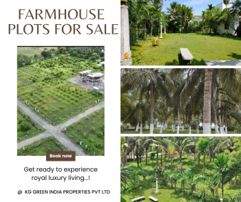  Agricultural Land for Sale in Tindivanam, Pondicherry