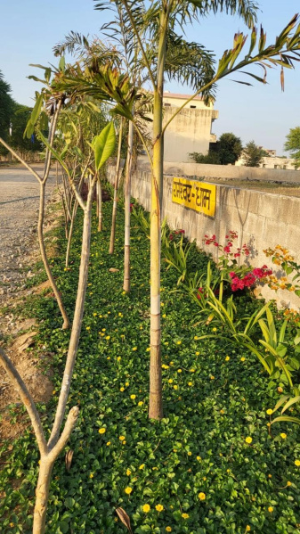  Residential Plot 39000 Sq. Yards for Sale in Ajmer Road, Jaipur