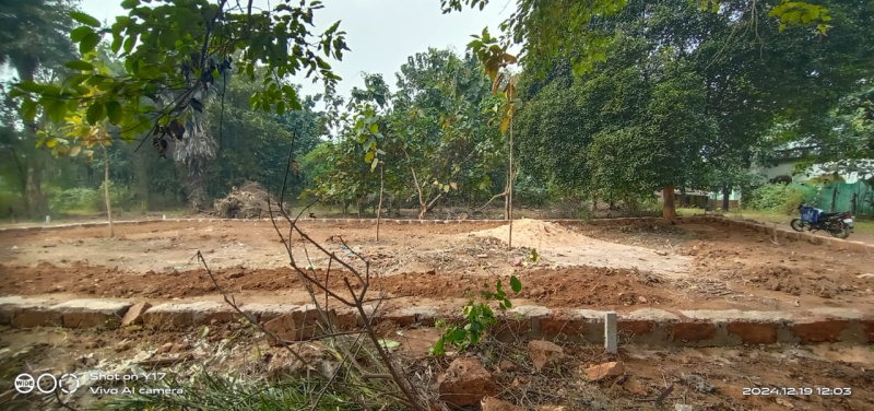  Residential Plot 3 Guntha for Sale in Banarpal, Angul