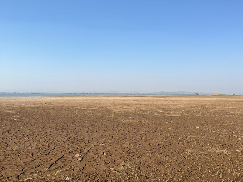  Agricultural Land 65 Guntha for Sale in Bogda, Satara