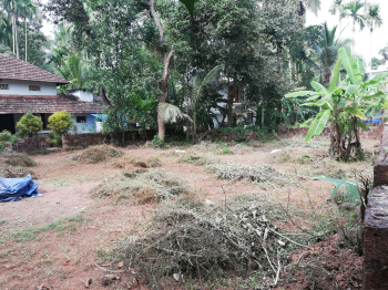  Residential Plot for Sale in Dharmadom, Kannur